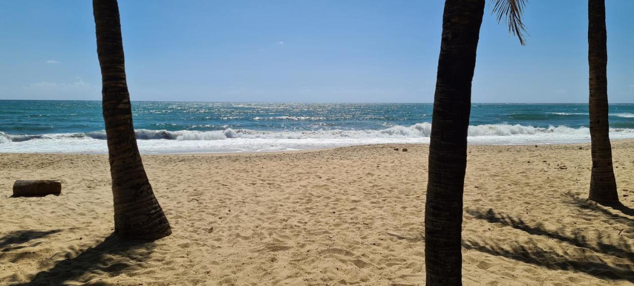 Trevily Porto Flats A 100M Da Praia Pôrto das Galinhas Exteriér fotografie